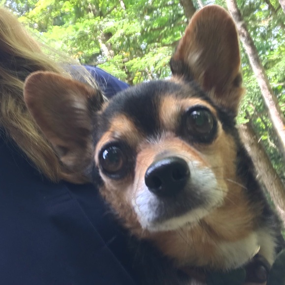 Klinka’s Kloset - Picture 5 of 13